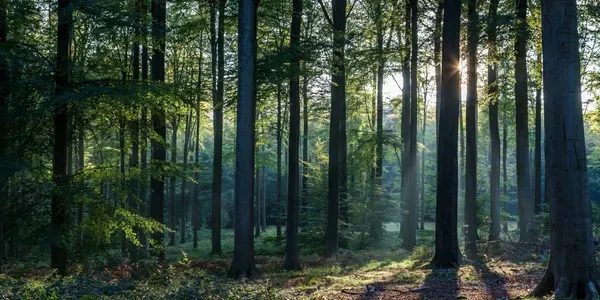 Blog article image cover